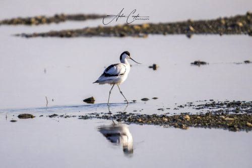 Ettinger Kieswerk - 2026 - 0002