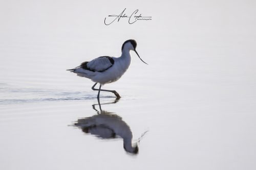 Ettinger Kieswerk - 2026 - 0003