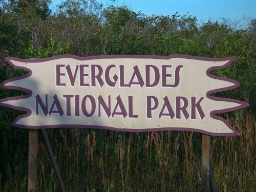 Everglades_2006_1